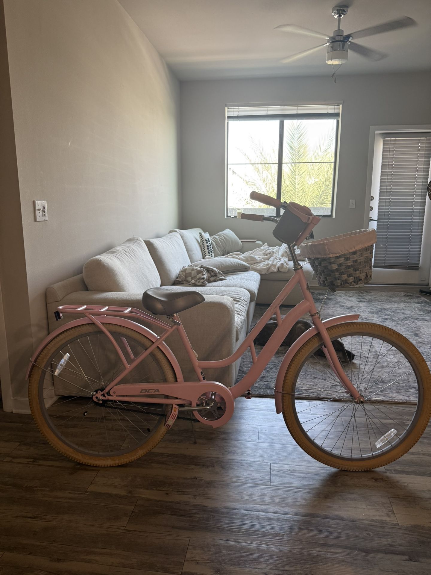 Charleston pink bike
