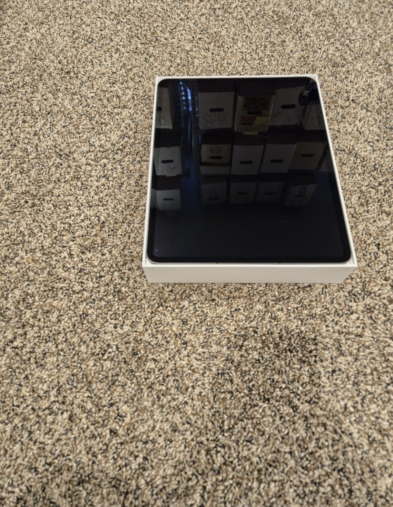 iPad Pro M4 13in