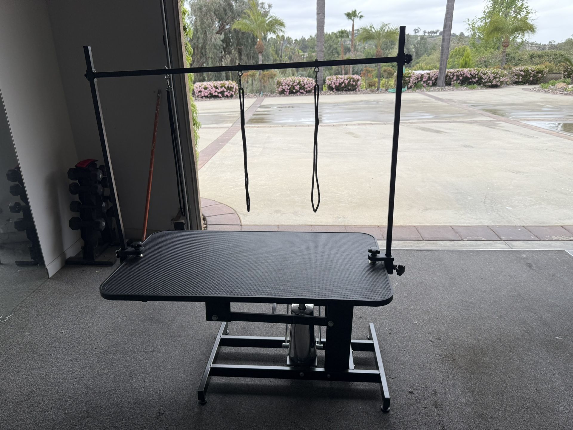 Professional Hydraulic Dog Grooming Table