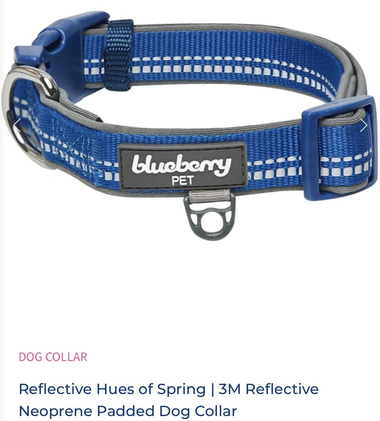 Reflective Hues of Spring | 3M Reflective Neoprene Padded Dog Collar