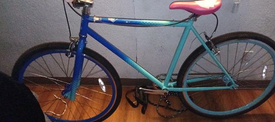 Windbreaker bike 24in