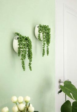 Wall Planters 