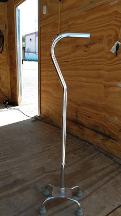 Walking stick and walker