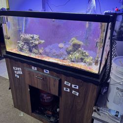 75 Gallon Saltwater Reef Tank – COMPLETE Reef Setup – Moving Sale