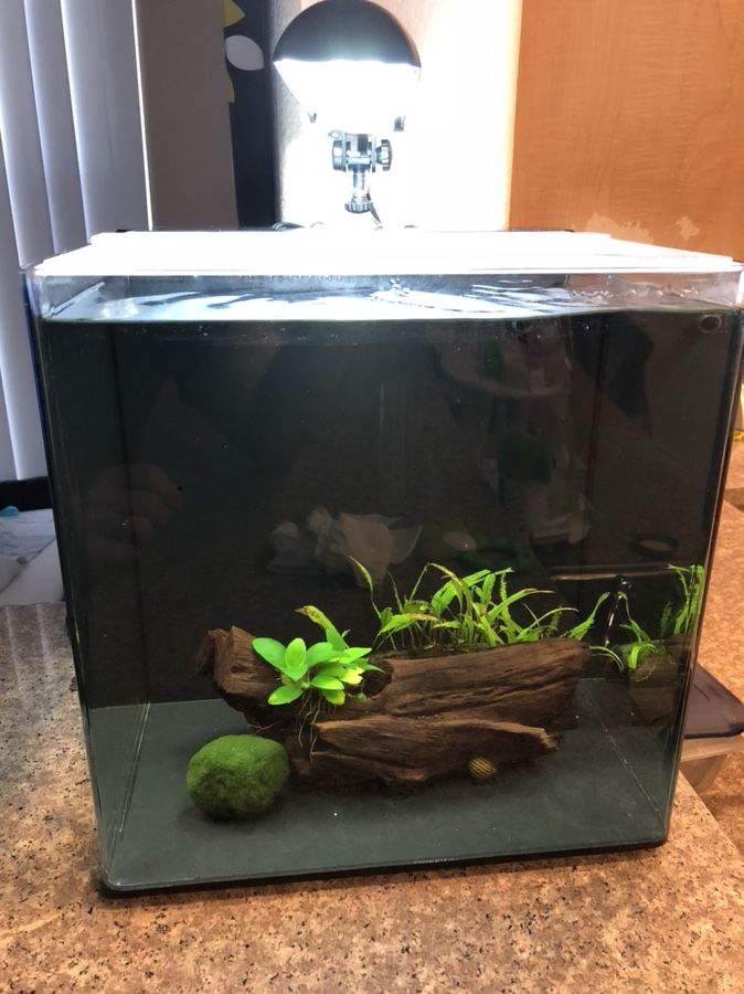 Aqua One Platform 37 Setup informacionpublica.svet.gob.gt