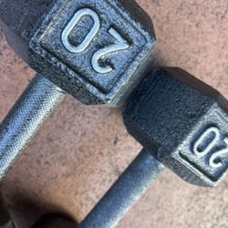 20.lbs X 2 Dumbbell Set