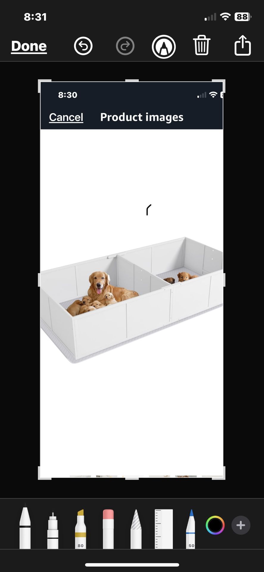 Welping Box