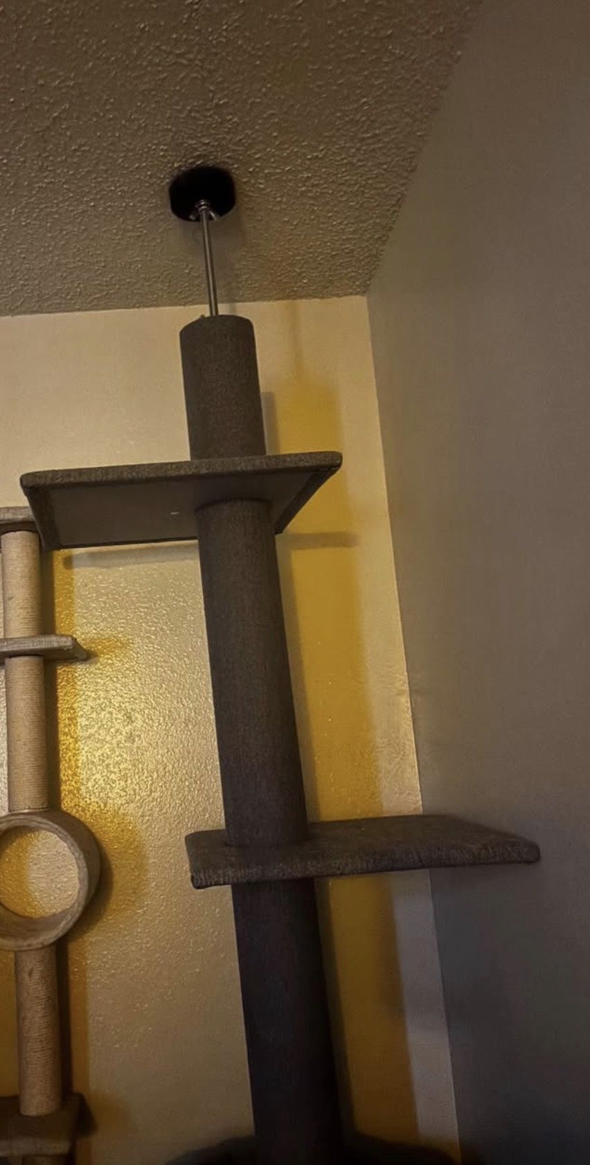 Floor To Ceiling Cat Tree