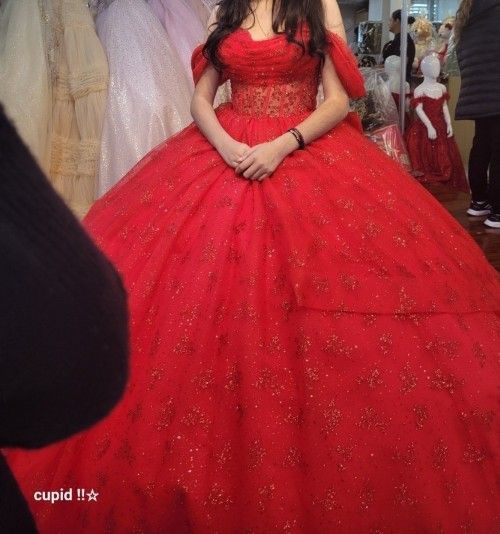 Quinceanera Vestido