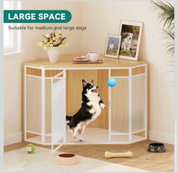 Corner dog kennel