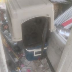 Dog Cage 