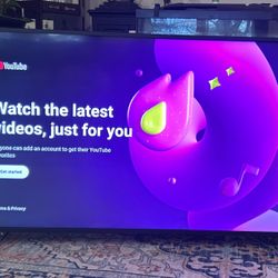 VIZIO 50 Class 4k (2160P) Smart XLED Home Theater Display (M50-E1)- Like new 