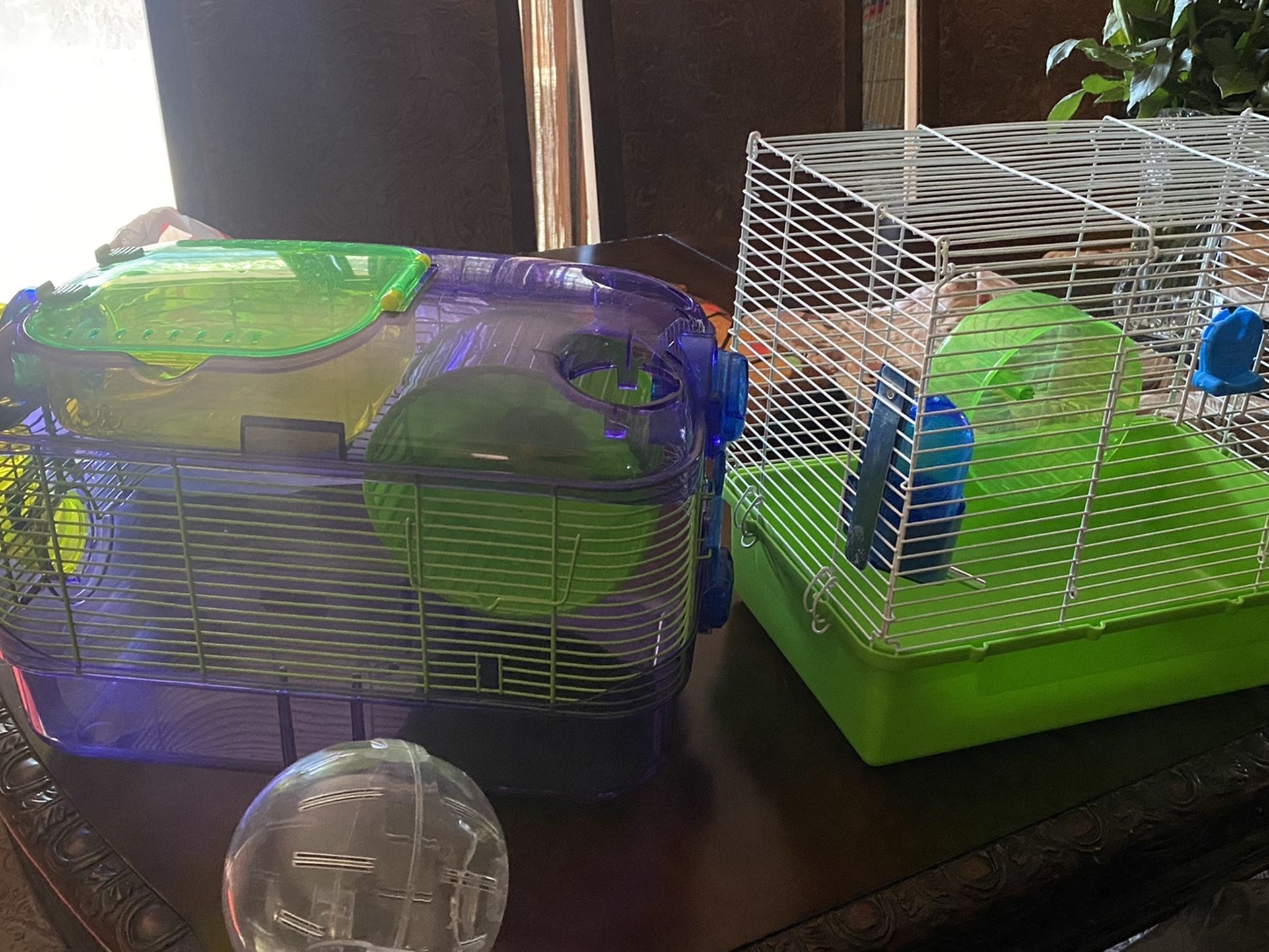 2 small animal cages 