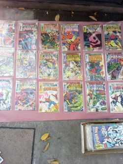 Peter Parker The Sensational Spiderman 