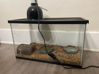 Reptile Enclosure With Heat Lamp