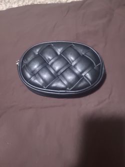 Steve Madden Purse or Makeup Bag