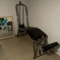 Universal Leg curl Machine