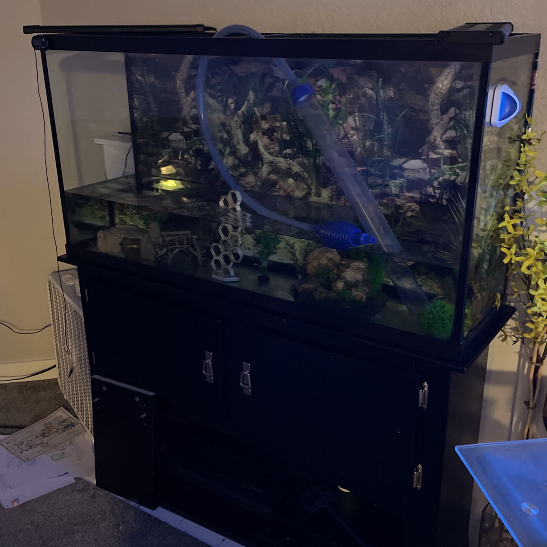 70g Fish Tank And Stand 