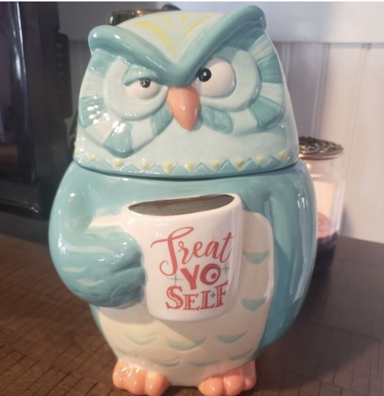 Cracker Barrel Owl Cookie Jar