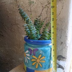 $10 Jade Necklace Plant & Pot