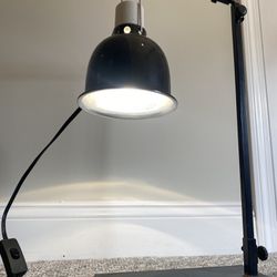 Adjustable stand and reptile light 21 Inches at shortest