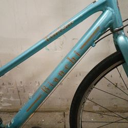 Bianchi Torino Dama