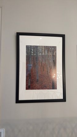 Framed Forest Art Print with Black Frame