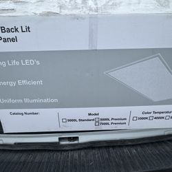 LED Lights 
