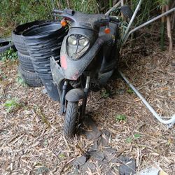 Scoter 