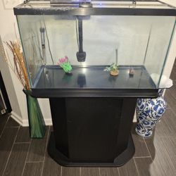 Fish Tank, 27 gallons 