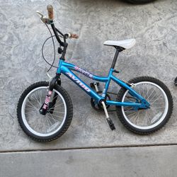 Free Little Kids Girls Bike With Training Wheels 