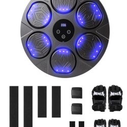 Karinoos Boxing Training Machine