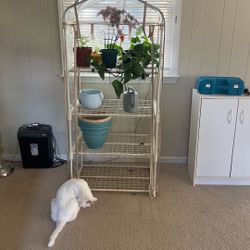 Plant Stand