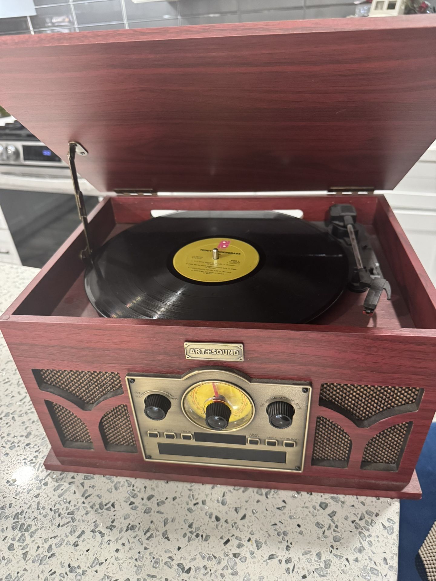 Vinyl Player