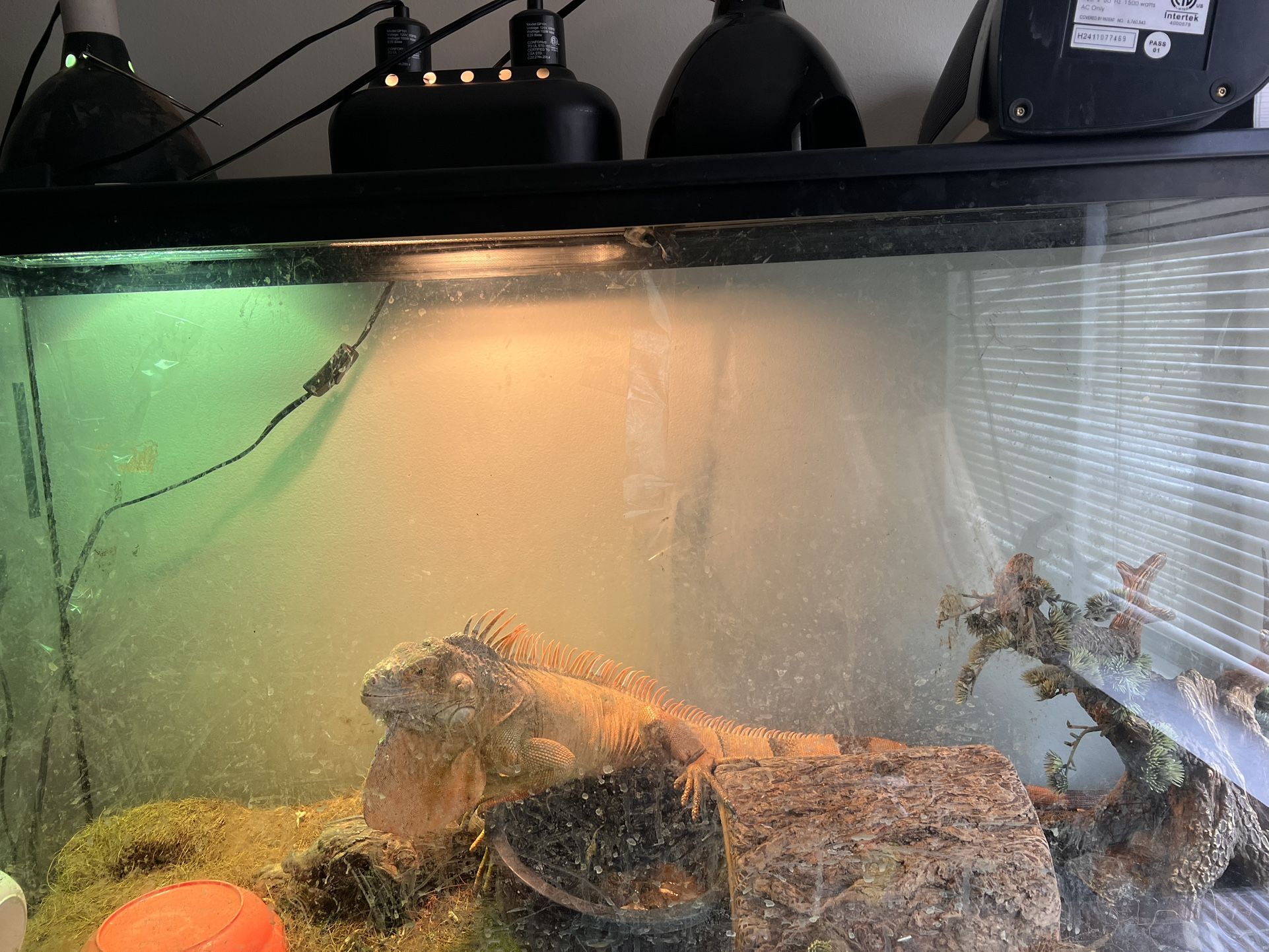 Reptile Terrarium With 2 Lights & 2 Heat Lamps