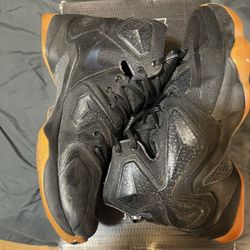 LeBron 13 Black lion 