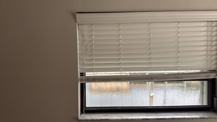 Window Blinds