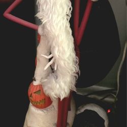 Nightmare Before Christmas Jack Skellington 