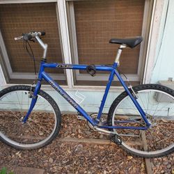 Raleigh M30 men's mountain bike