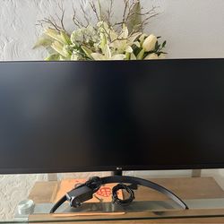 LG 34" UltraWide Full HD Monitor