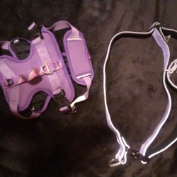 Dog Harnesses 