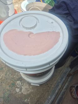Pinturas Nuevas $95 cada una