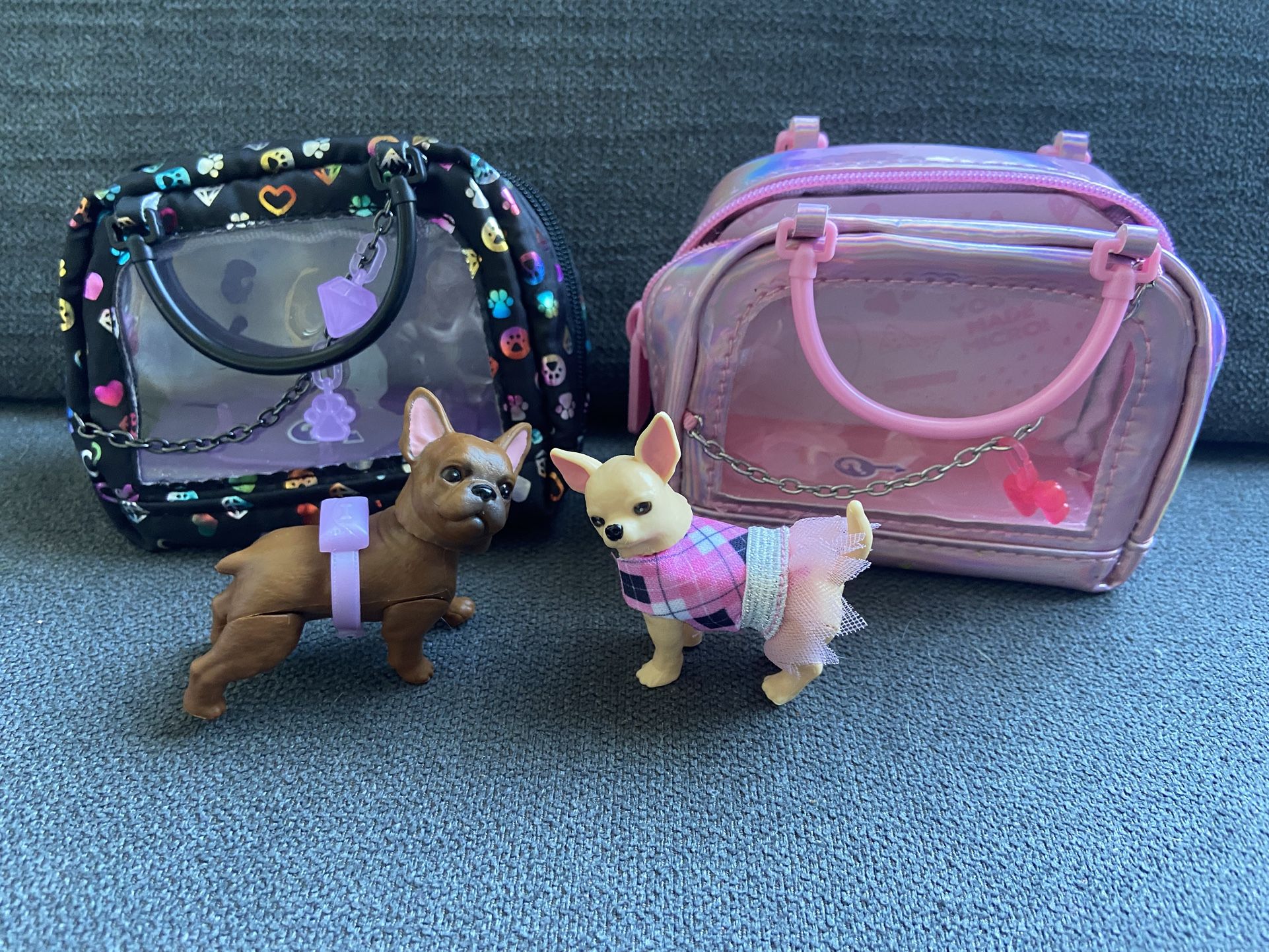 Puppies in purse