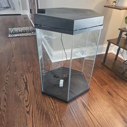 Fish Tank 