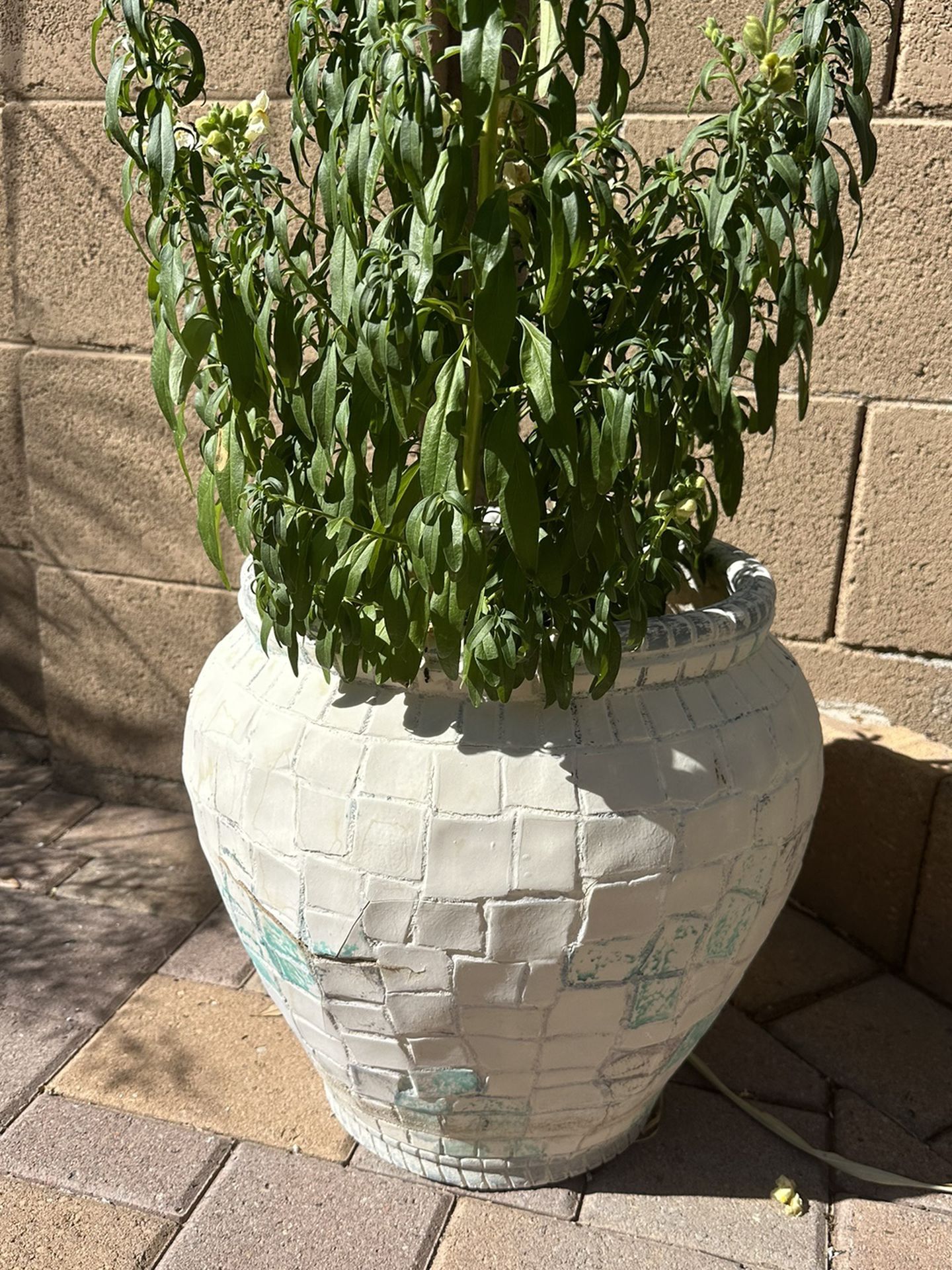 Large Pot /Planter With Flowers 