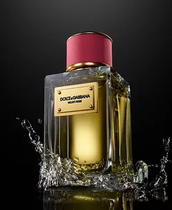 Dolce & Gabbana Velvet Love