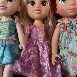 Disney Princess Dolls 