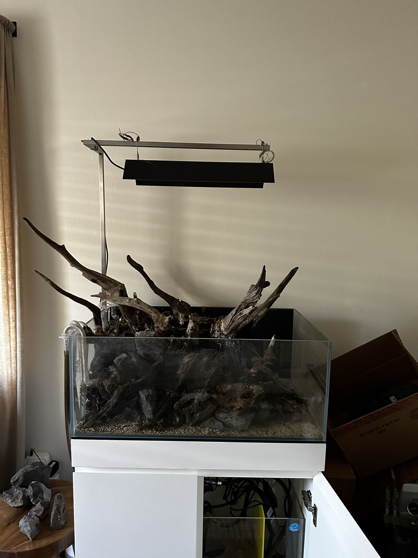 Fully Scaped UNS 75S Shallow Paludarium Style Aquarium With Sump Filter