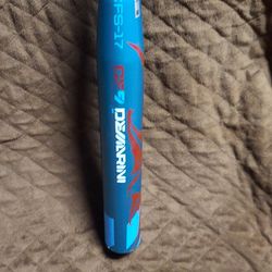 Fastpitch Softball Bat 