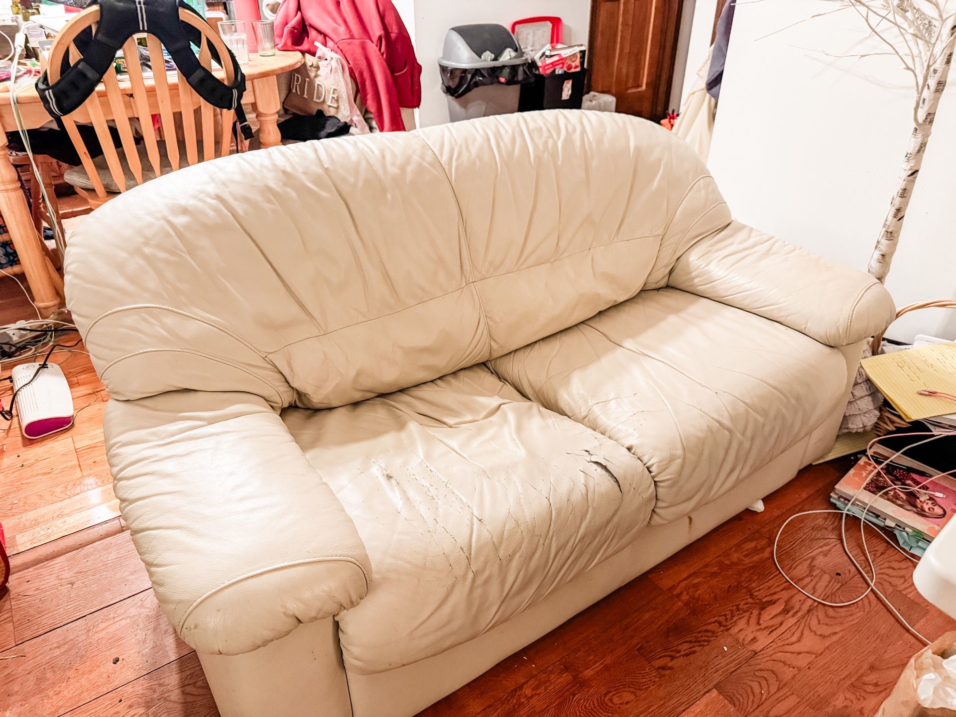Well Loved Couch Looking For Second Home